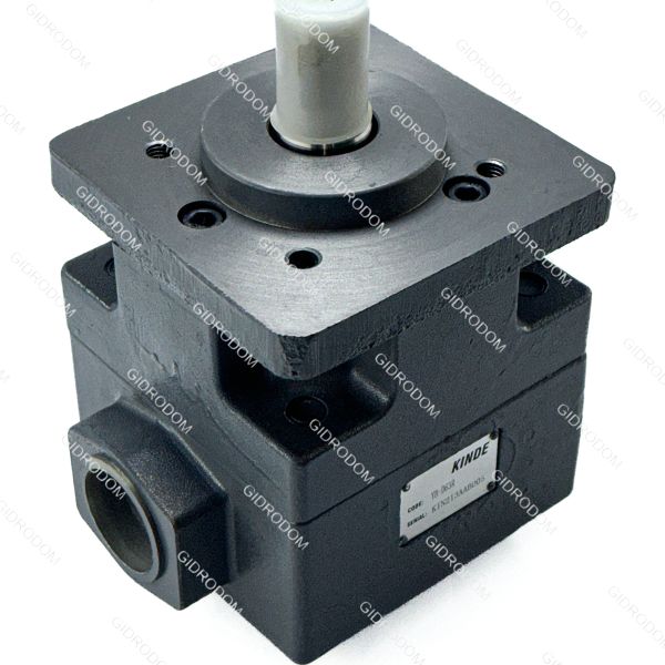 пластинчатый насос YB-D 63R (НПл63/6,3)